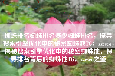 蜘蛛排名蜘蛛排名多少蜘蛛排名，探寻搜索引擎优化中的秘密蜘蛛池TG：zzcseo，揭秘搜索引擎优化中的秘密蜘蛛池，探寻排名背后的蜘蛛池TG，zzcseo之道