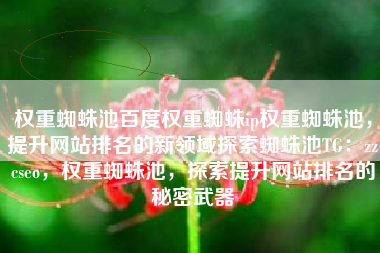权重蜘蛛池百度权重蜘蛛ip权重蜘蛛池，提升网站排名的新领域探索蜘蛛池TG：zzcseo，权重蜘蛛池，探索提升网站排名的秘密武器