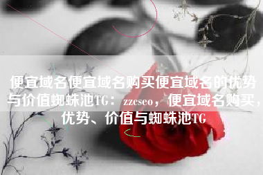 便宜域名便宜域名购买便宜域名的优势与价值蜘蛛池TG：zzcseo，便宜域名购买，优势、价值与蜘蛛池TG