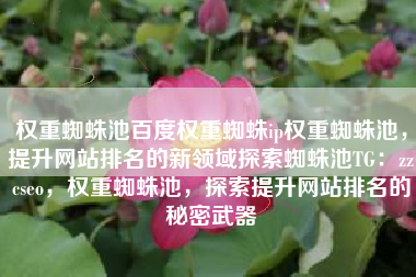 权重蜘蛛池百度权重蜘蛛ip权重蜘蛛池，提升网站排名的新领域探索蜘蛛池TG：zzcseo，权重蜘蛛池，探索提升网站排名的秘密武器