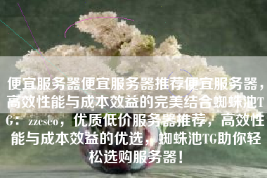 便宜服务器便宜服务器推荐便宜服务器，高效性能与成本效益的完美结合蜘蛛池TG：zzcseo，优质低价服务器推荐，高效性能与成本效益的优选，蜘蛛池TG助你轻松选购服务器！