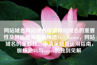 网站域名网站域名申请网站域名的重要性及其运用策略蜘蛛池TG：zzcseo，网站域名的重要性、申请策略及运用指南，蜘蛛池TG与zzcseo的独到见解