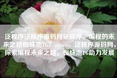 泛程序泛程序源码网泛程序，编程的未来之路蜘蛛池TG：zzcseo，泛程序源码网，探索编程未来之路，蜘蛛池TG助力发展