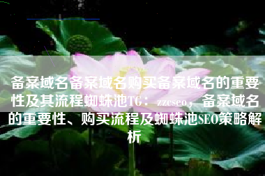 备案域名备案域名购买备案域名的重要性及其流程蜘蛛池TG：zzcseo，备案域名的重要性、购买流程及蜘蛛池SEO策略解析
