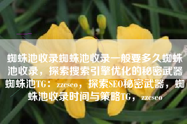 蜘蛛池收录蜘蛛池收录一般要多久蜘蛛池收录,探索搜索引擎优化的秘密武器蜘蛛池TG:zzcseo,探索SEO秘密武器,蜘蛛池收录时间与策略TG,zzcseo 蜘蛛池收录蜘蛛池收录一般要多久蜘蛛池收录,探索搜索引擎优化的秘密武器蜘蛛池TG:zzcseo,探索SEO秘密武器,蜘蛛池收录时间与策略TG,zzcseo