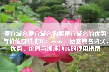 便宜域名便宜域名购买便宜域名的优势与价值蜘蛛池TG：zzcseo，便宜域名购买，优势、价值与蜘蛛池TG的使用指南