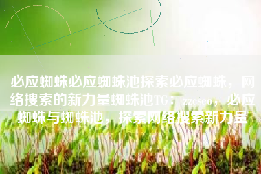 必应蜘蛛必应蜘蛛池探索必应蜘蛛，网络搜索的新力量蜘蛛池TG：zzcseo，必应蜘蛛与蜘蛛池，探索网络搜索新力量