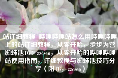 站详细教程_哔哩哔哩站怎么用哔哩哔哩上的站详细教程，从零开始，步步为营蜘蛛池TG：zzcseo，从零开始的哔哩哔哩站使用指南，详细教程与蜘蛛池技巧分享（附TG，zzcseo）