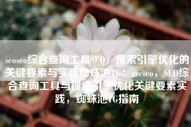 seoseo综合查询工具SEO，搜索引擎优化的关键要素与实践蜘蛛池TG：zzcseo，SEO综合查询工具与搜索引擎优化关键要素实践，蜘蛛池TG指南