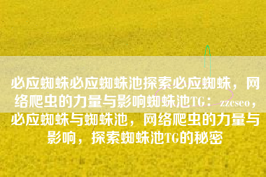 必应蜘蛛必应蜘蛛池探索必应蜘蛛，网络爬虫的力量与影响蜘蛛池TG：zzcseo，必应蜘蛛与蜘蛛池，网络爬虫的力量与影响，探索蜘蛛池TG的秘密