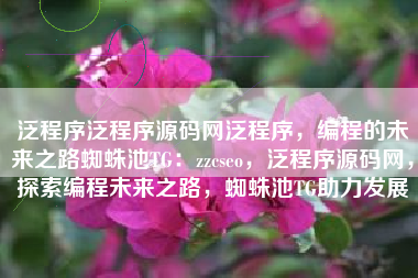 泛程序泛程序源码网泛程序，编程的未来之路蜘蛛池TG：zzcseo，泛程序源码网，探索编程未来之路，蜘蛛池TG助力发展
