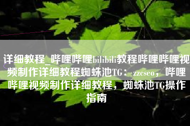 详细教程_哔哩哔哩bilibili教程哔哩哔哩视频制作详细教程蜘蛛池TG：zzcseo，哔哩哔哩视频制作详细教程，蜘蛛池TG操作指南