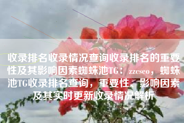 收录排名收录情况查询收录排名的重要性及其影响因素蜘蛛池TG：zzcseo，蜘蛛池TG收录排名查询，重要性、影响因素及其实时更新收录情况解析