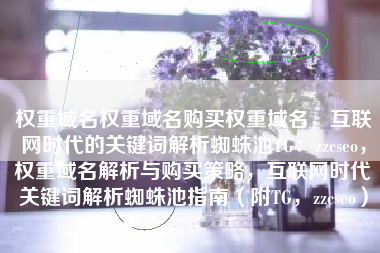 权重域名权重域名购买权重域名，互联网时代的关键词解析蜘蛛池TG：zzcseo，权重域名解析与购买策略，互联网时代关键词解析蜘蛛池指南（附TG，zzcseo）