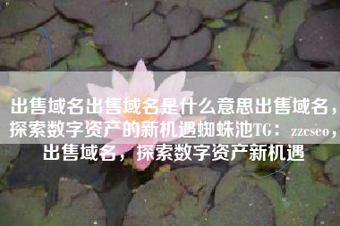 出售域名出售域名是什么意思出售域名，探索数字资产的新机遇蜘蛛池TG：zzcseo，出售域名，探索数字资产新机遇
