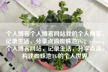 个人博客个人博客网站我的个人博客，记录生活，分享点滴蜘蛛池TG：zzcseo，个人博客网站，记录生活，分享点滴，构建蜘蛛池TG的个人世界