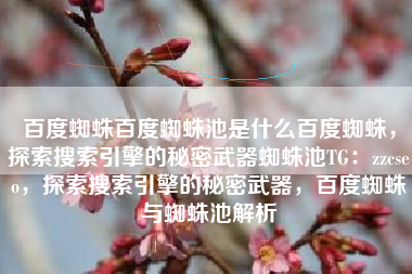 百度蜘蛛百度蜘蛛池是什么百度蜘蛛，探索搜索引擎的秘密武器蜘蛛池TG：zzcseo，探索搜索引擎的秘密武器，百度蜘蛛与蜘蛛池解析
