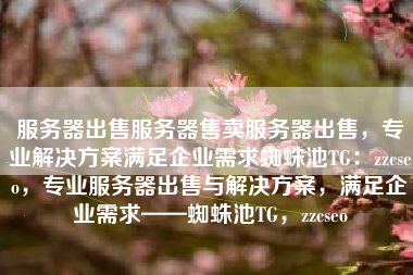 服务器出售服务器售卖服务器出售，专业解决方案满足企业需求蜘蛛池TG：zzcseo，专业服务器出售与解决方案，满足企业需求——蜘蛛池TG，zzcseo