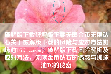 破解版下载破解版下载无限金币无限钻石关于破解版下载的风险与应对方法蜘蛛池TG：zzcseo，破解版下载风险解析及应对方法，无限金币钻石的诱惑与蜘蛛池TG的秘密