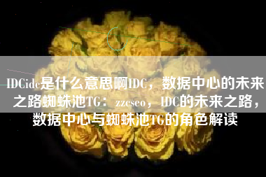 IDCidc是什么意思啊IDC，数据中心的未来之路蜘蛛池TG：zzcseo，IDC的未来之路，数据中心与蜘蛛池TG的角色解读