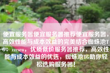 便宜服务器便宜服务器推荐便宜服务器，高效性能与成本效益的完美结合蜘蛛池TG：zzcseo，优质低价服务器推荐，高效性能与成本效益的优选，蜘蛛池TG助你轻松选购服务器！