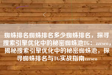 蜘蛛排名蜘蛛排名多少蜘蛛排名，探寻搜索引擎优化中的秘密蜘蛛池TG：zzcseo，揭秘搜索引擎优化中的秘密蜘蛛池，探寻蜘蛛排名与TG实战指南zzcseo