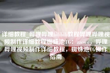 详细教程_哔哩哔哩bilibili教程哔哩哔哩视频制作详细教程蜘蛛池TG：zzcseo，哔哩哔哩视频制作详细教程，蜘蛛池TG操作指南