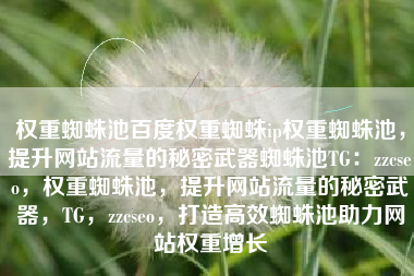 权重蜘蛛池百度权重蜘蛛ip权重蜘蛛池，提升网站流量的秘密武器蜘蛛池TG：zzcseo，权重蜘蛛池，提升网站流量的秘密武器，TG，zzcseo，打造高效蜘蛛池助力网站权重增长