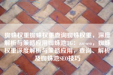 蜘蛛权重蜘蛛权重查询蜘蛛权重，深度解析与策略应用蜘蛛池TG：zzcseo，蜘蛛权重深度解析与策略应用，查询、解析及蜘蛛池SEO技巧