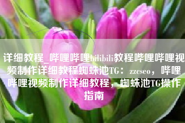 详细教程_哔哩哔哩bilibili教程哔哩哔哩视频制作详细教程蜘蛛池TG：zzcseo，哔哩哔哩视频制作详细教程，蜘蛛池TG操作指南