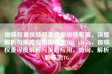 蜘蛛权重蜘蛛权重查询蜘蛛权重，深度解析与策略应用蜘蛛池TG：zzcseo，蜘蛛权重深度解析与策略应用，查询、解析蜘蛛池TG