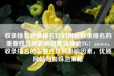 收录排名收录排名好的网站收录排名的重要性及其影响因素蜘蛛池TG：zzcseo，收录排名的重要性及其影响因素，优质网站与蜘蛛池策略