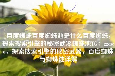 百度蜘蛛百度蜘蛛池是什么百度蜘蛛，探索搜索引擎的秘密武器蜘蛛池TG：zzcseo，探索搜索引擎的秘密武器，百度蜘蛛与蜘蛛池详解