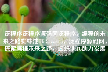 泛程序泛程序源码网泛程序，编程的未来之路蜘蛛池TG：zzcseo，泛程序源码网，探索编程未来之路，蜘蛛池TG助力发展