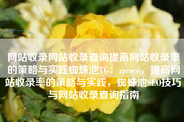 网站收录网站收录查询提高网站收录率的策略与实践蜘蛛池TG：zzcseo，提高网站收录率的策略与实践，蜘蛛池SEO技巧与网站收录查询指南