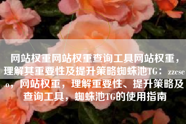 网站权重网站权重查询工具网站权重，理解其重要性及提升策略蜘蛛池TG：zzcseo，网站权重，理解重要性、提升策略及查询工具，蜘蛛池TG的使用指南