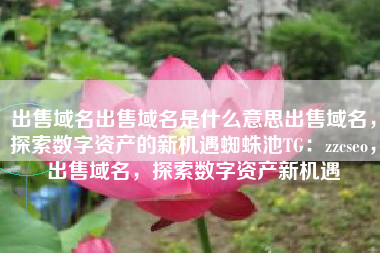 出售域名出售域名是什么意思出售域名，探索数字资产的新机遇蜘蛛池TG：zzcseo，出售域名，探索数字资产新机遇