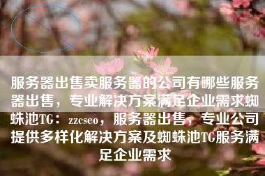 服务器出售卖服务器的公司有哪些服务器出售，专业解决方案满足企业需求蜘蛛池TG：zzcseo，服务器出售，专业公司提供多样化解决方案及蜘蛛池TG服务满足企业需求