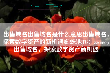 出售域名出售域名是什么意思出售域名,探索数字资产的新机遇蜘蛛池TG:zzcseo,出售域名,探索数字资产新机遇 出售域名出售域名是什么意思出售域名,探索数字资产的新机遇蜘蛛池TG:zzcseo,出售域名,探索数字资产新机遇