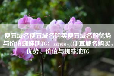 便宜域名便宜域名购买便宜域名的优势与价值蜘蛛池TG：zzcseo，便宜域名购买，优势、价值与蜘蛛池TG