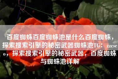 百度蜘蛛百度蜘蛛池是什么百度蜘蛛，探索搜索引擎的秘密武器蜘蛛池TG：zzcseo，探索搜索引擎的秘密武器，百度蜘蛛与蜘蛛池详解