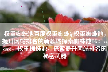 权重蜘蛛池百度权重蜘蛛ip权重蜘蛛池，提升网站排名的新领域探索蜘蛛池TG：zzcseo，权重蜘蛛池，探索提升网站排名的秘密武器