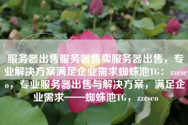 服务器出售服务器售卖服务器出售，专业解决方案满足企业需求蜘蛛池TG：zzcseo，专业服务器出售与解决方案，满足企业需求——蜘蛛池TG，zzcseo