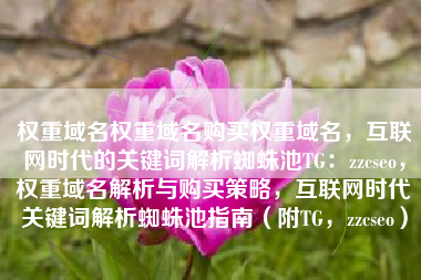 权重域名权重域名购买权重域名，互联网时代的关键词解析蜘蛛池TG：zzcseo，权重域名解析与购买策略，互联网时代关键词解析蜘蛛池指南（附TG，zzcseo）