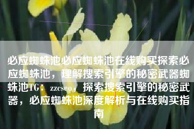 必应蜘蛛池必应蜘蛛池在线购买探索必应蜘蛛池，理解搜索引擎的秘密武器蜘蛛池TG：zzcseo，探索搜索引擎的秘密武器，必应蜘蛛池深度解析与在线购买指南