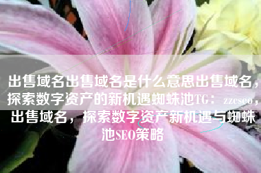 出售域名出售域名是什么意思出售域名，探索数字资产的新机遇蜘蛛池TG：zzcseo，出售域名，探索数字资产新机遇与蜘蛛池SEO策略