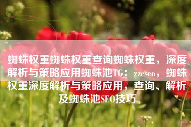 蜘蛛权重蜘蛛权重查询蜘蛛权重,深度解析与策略应用蜘蛛池TG:zzcseo,蜘蛛权重深度解析与策略应用,查询、解析及蜘蛛池SEO技巧 蜘蛛权重蜘蛛权重查询蜘蛛权重,深度解析与策略应用蜘蛛池TG:zzcseo,蜘蛛权重深度解析与策略应用,查询、解析及蜘蛛池SEO技巧