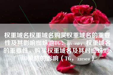 权重域名权重域名购买权重域名的重要性及其影响蜘蛛池TG：zzcseo，权重域名的重要性，购买权重域名及其对蜘蛛池SEO策略的影响（TG，zzcseo）
