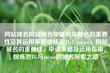网站域名网站域名申请网站域名的重要性及其运用策略蜘蛛池TG：zzcseo，网站域名的重要性、申请策略及运用指南，蜘蛛池TG与zzcseo的域名探索之路