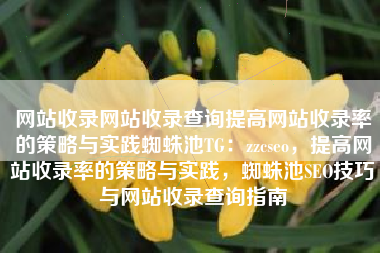 网站收录网站收录查询提高网站收录率的策略与实践蜘蛛池TG:zzcseo,提高网站收录率的策略与实践,蜘蛛池SEO技巧与网站收录查询指南 网站收录网站收录查询提高网站收录率的策略与实践蜘蛛池TG:zzcseo,提高网站收录率的策略与实践,蜘蛛池SEO技巧与网站收录查询指南